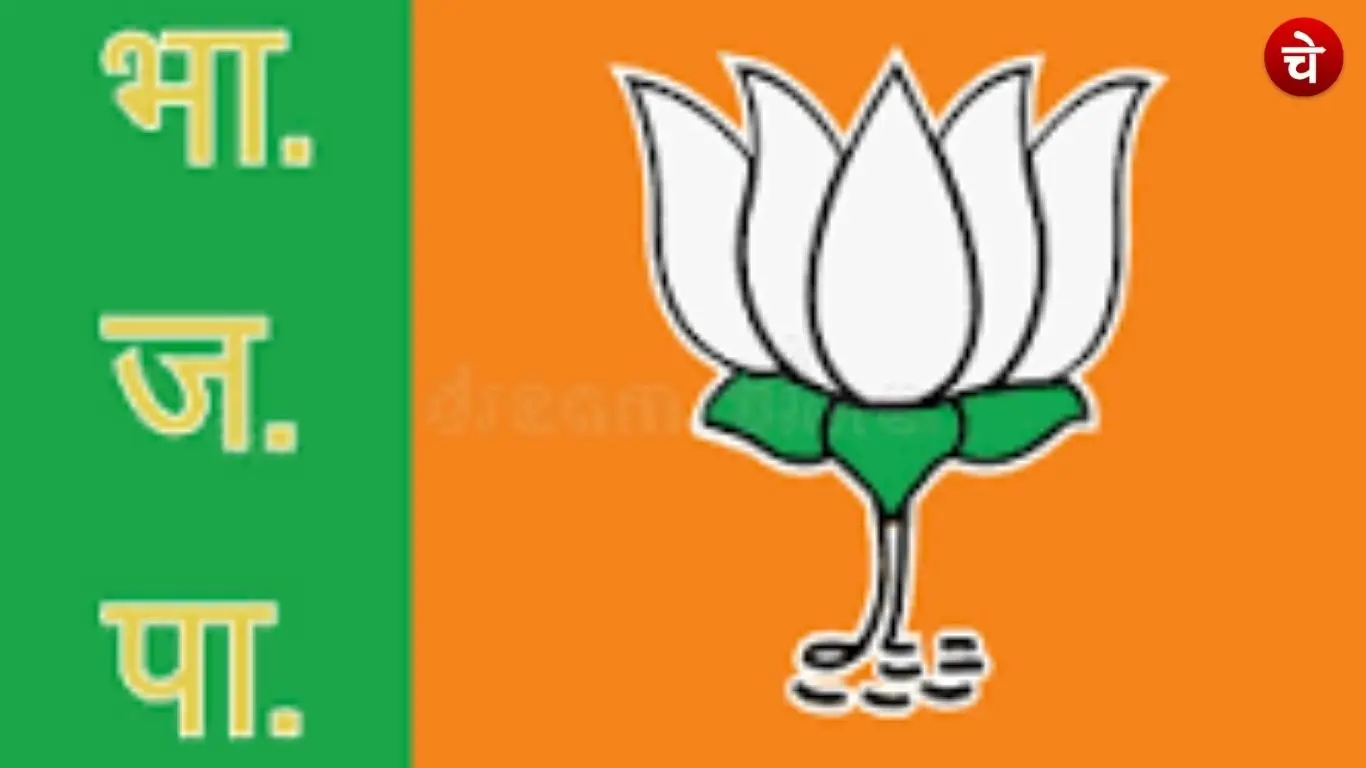Eight leaders from Chitrakoot have been given a place in the state working committee, under the BJP lotus symbol